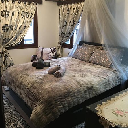 Agapi'S House Apartment Metsovo Luaran gambar