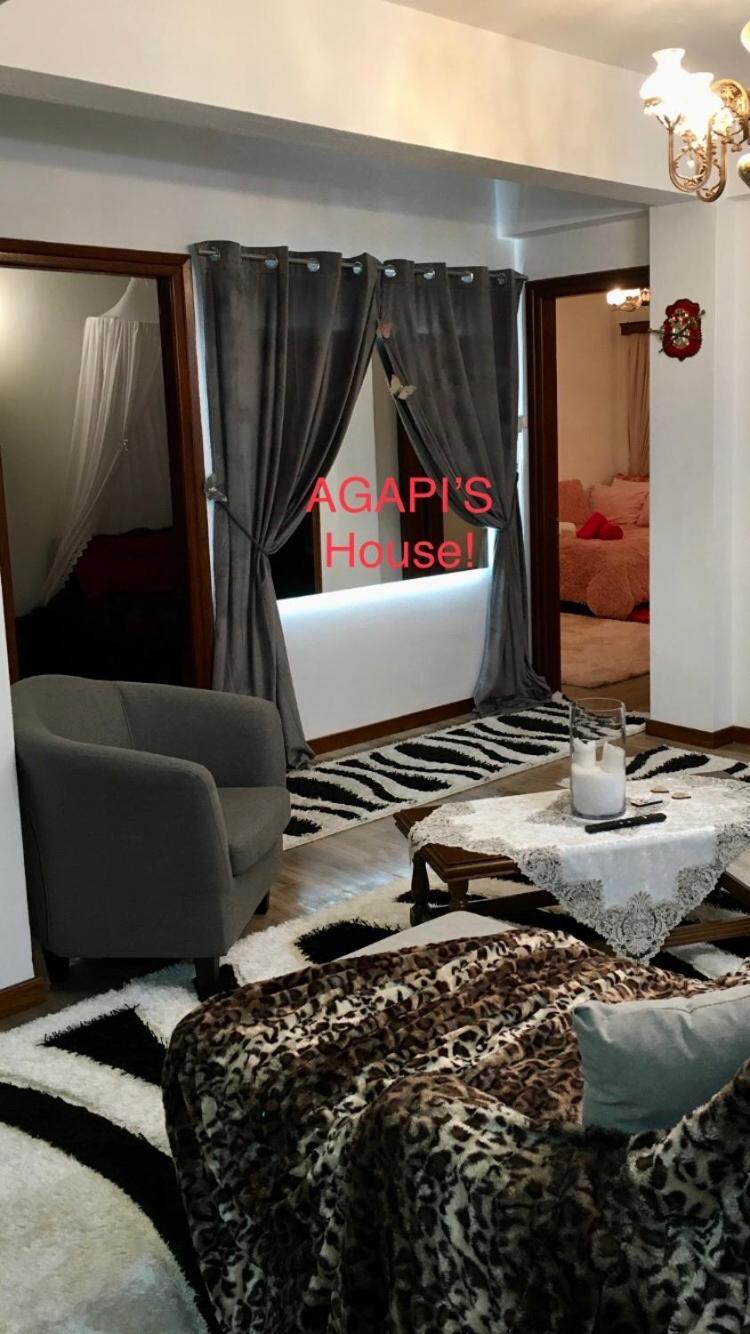 Agapi'S House Apartment Metsovo Luaran gambar