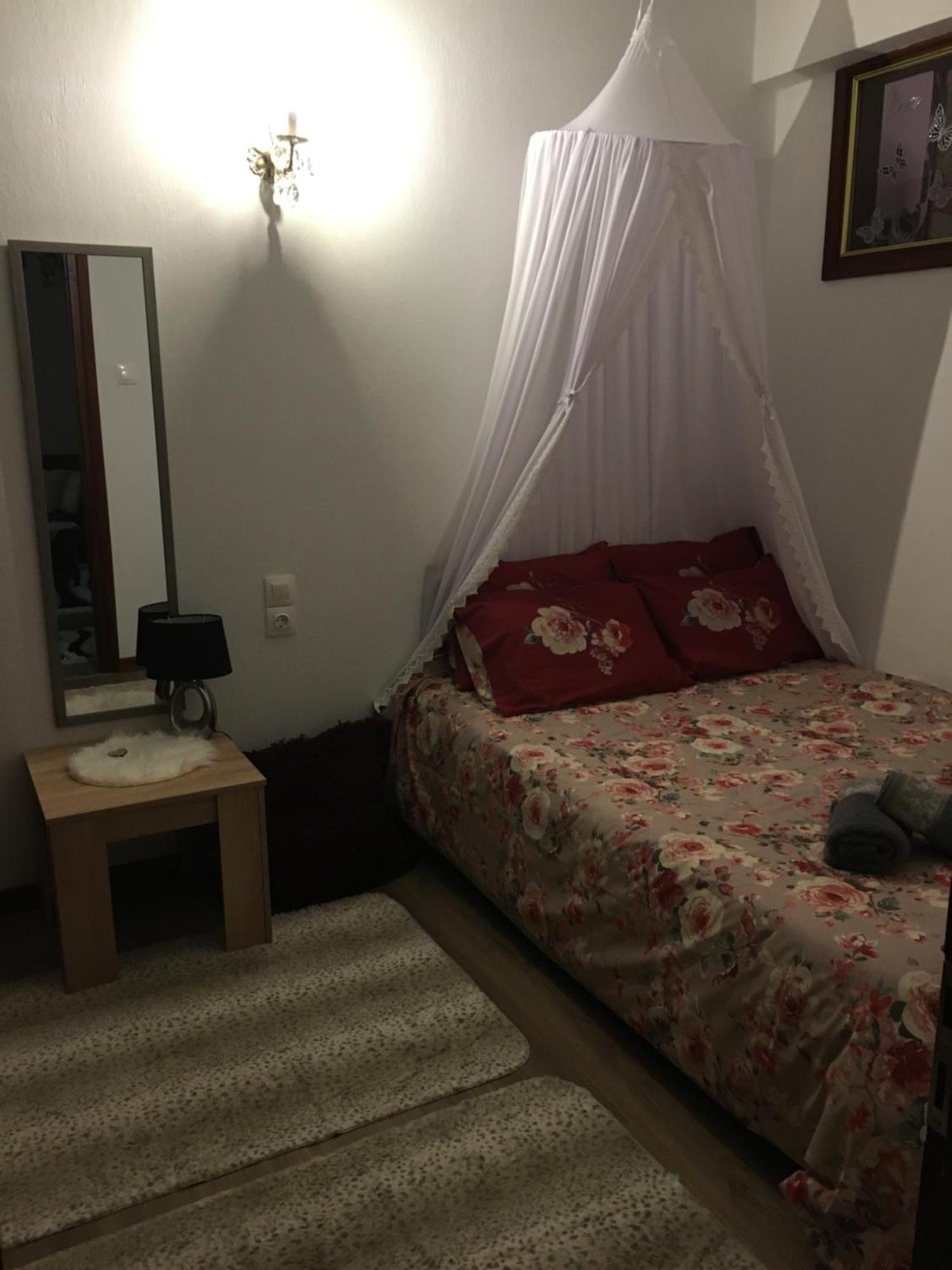 Agapi'S House Apartment Metsovo Luaran gambar