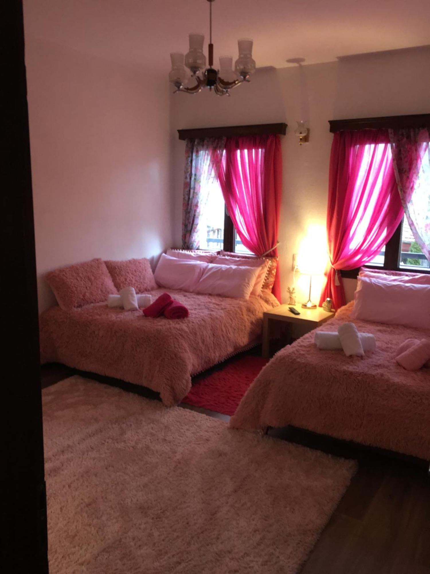 Agapi'S House Apartment Metsovo Luaran gambar