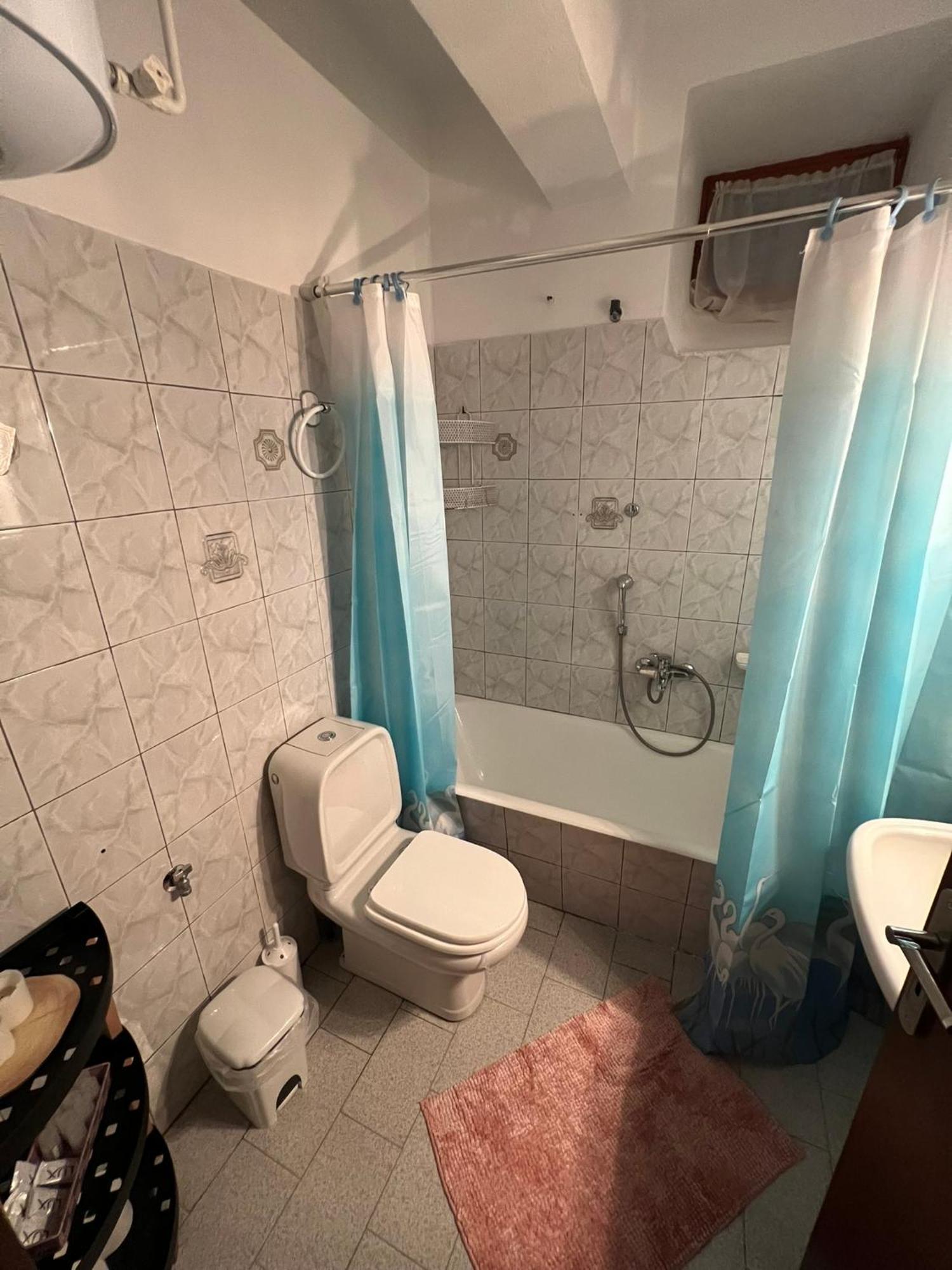 Agapi'S House Apartment Metsovo Luaran gambar