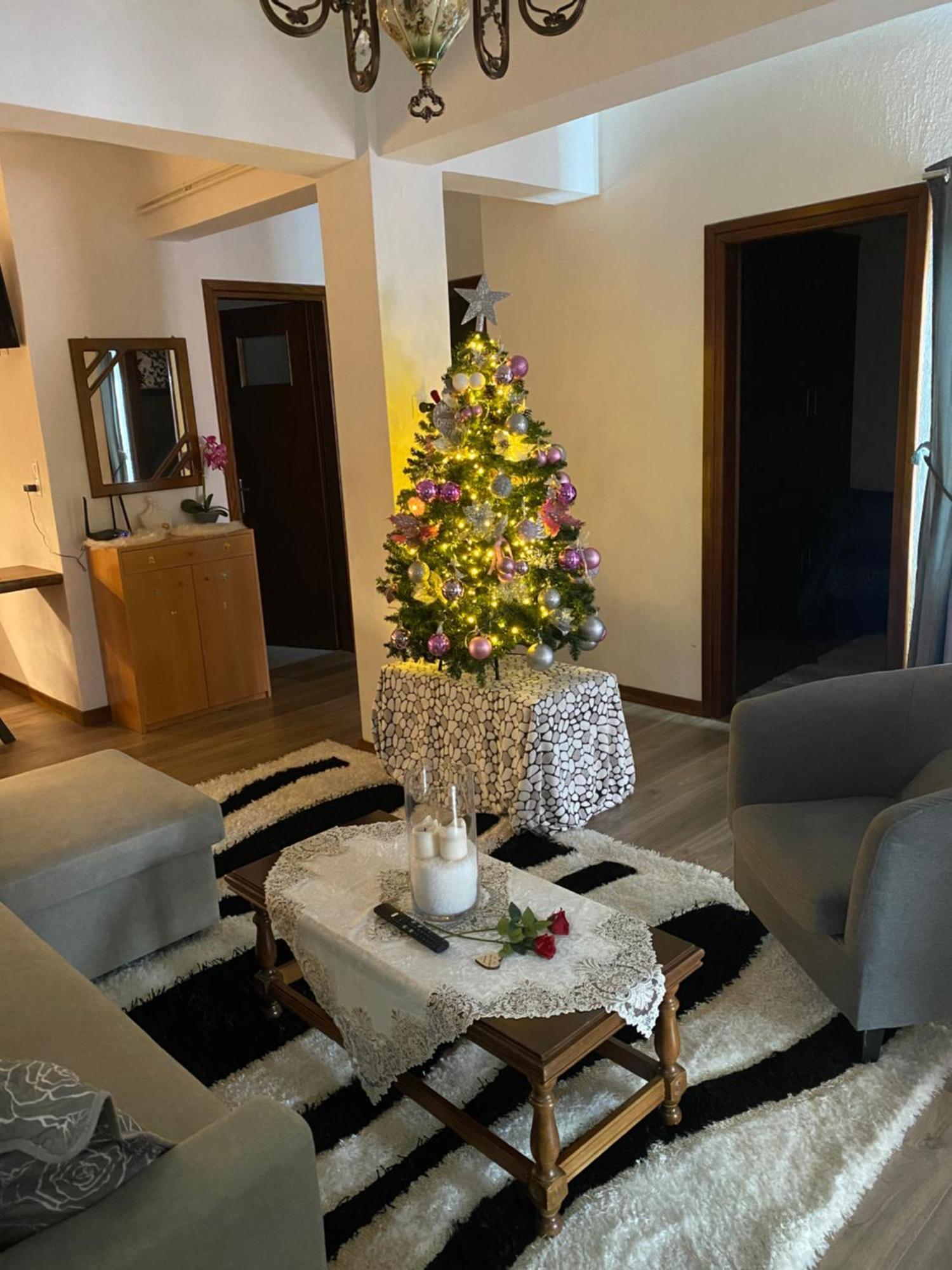 Agapi'S House Apartment Metsovo Luaran gambar