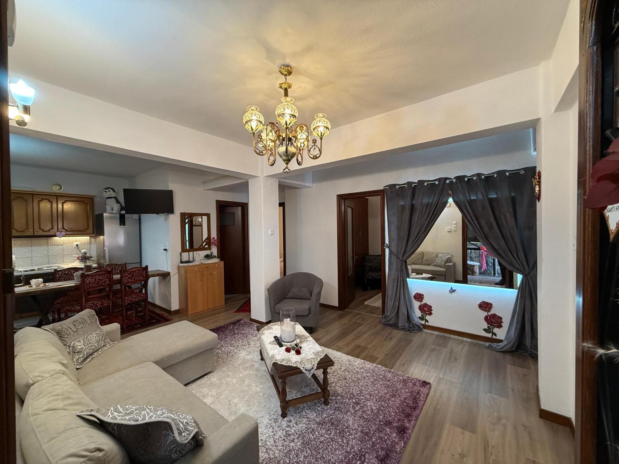 Agapi'S House Apartment Metsovo Luaran gambar